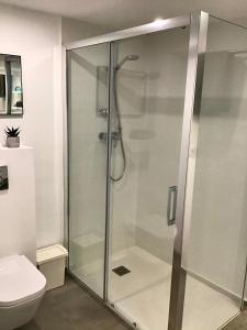 哈维亚Pio X的一间带卫生间的浴室内的玻璃淋浴间