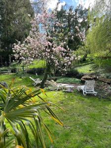 圣马塞尔Le Bois des Sources的公园里长着长凳,树上种着粉红色的花