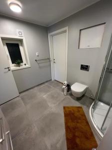 莫尔德Cozy one-bedroom with a view的带淋浴和卫生间的浴室。
