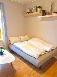 Cozy one-bedroom with a view平面图