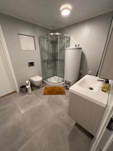 莫尔德Cozy one-bedroom with a view的带淋浴、盥洗盆和卫生间的浴室