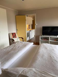莫尔德Cozy one-bedroom with a view的酒店客房设有两张床和电视。