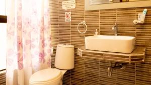 利马CASA MAYNAS BARRANCO的一间带水槽和卫生间的浴室
