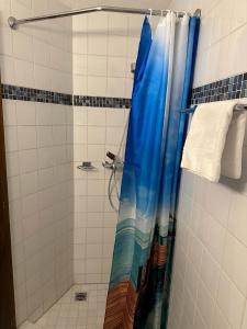因特拉肯Brienz Strasse的浴室内配有蓝色淋浴帘
