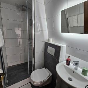 鲁尔河畔米尔海姆科隆霍夫酒店的浴室配有卫生间、淋浴和盥洗盆。