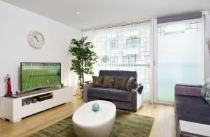 伦敦COBALT POINT, South Quay的带沙发和电视的客厅