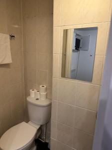 布莱顿霍夫Sandpiper Guest House的一间带卫生间和镜子的浴室