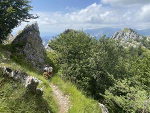 SassiLovely Tuscan Mountain Village的两个人在山间小径上行走