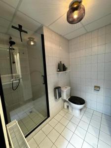 霍勒姆43号一室公寓的带淋浴和卫生间的浴室。