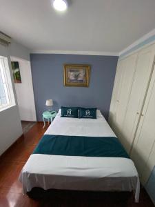 波哥大Hotel Boutique Casa Magaly的一间卧室设有一张蓝色墙壁的大床