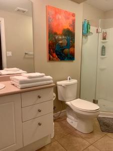 圭尔夫1 room in a cozy and beautiful basement的一间带卫生间的浴室和墙上的绘画
