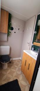 鲁西隆地区卡内Mobil-home Le cocon的一间带卫生间和水槽的小浴室