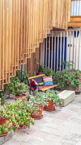 库斯科金塔圣布拉斯阿纳奈酒店的坐在一束盆栽植物旁边的长凳
