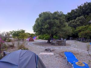 希马拉Lost Paradise Camping Beach & Bar的一群帐篷和一棵树的露营地