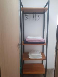 伊列乌斯APART STUDIOS PONTAL的衣柜里的架子,上面有毛巾