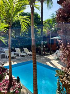 布希奥斯波萨达阿尔佛里亚酒店的庭院内两棵棕榈树的游泳池