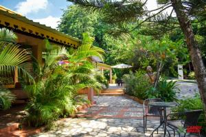 海地角Lakou Breda的种有棕榈树的花园以及庭院
