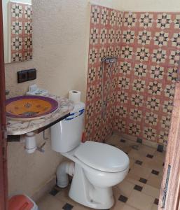 奥伊俄贞Ouirgane discovery lodge的浴室配有白色卫生间和盥洗盆。
