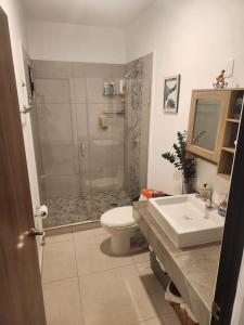 马萨特兰Departamento coto privado con alberca的带淋浴、卫生间和盥洗盆的浴室