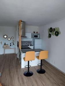 哥西尔Studio de charme au Gosier的厨房配有两把椅子和台面