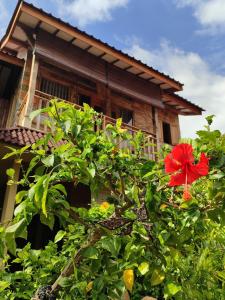 吉利特拉旺安Little Elephant Cottage的房子前有红花的树