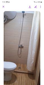 培拉特曼格莱姆旅馆的一间带卫生间和淋浴帘的浴室