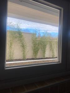 科扎尼SnD Rentals- Studios的窗户享有种有植物的海滩美景