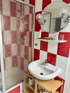 ZarrentinLandhaus am Schaalsee的一间带水槽和镜子的浴室