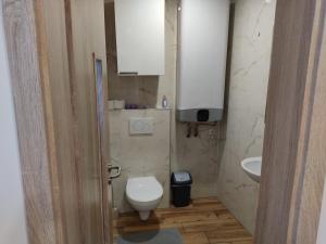 布拉格Malý apartmán v Praze的一间带卫生间和水槽的小浴室