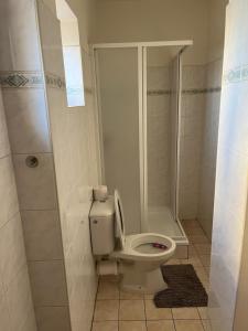 兹诺伊莫Penzion Znojmo的一间带卫生间和淋浴的浴室
