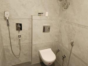 阿格拉HOTEL SHYAM PALACE INDIA AGRA的带淋浴和卫生间的浴室。
