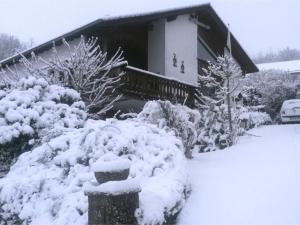 EllarCozy Apartment in Ellar with Garden的院子前的雪覆盖的房子