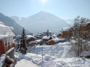 Le Villard4 6 pers holiday appartment near center of Champagny的山地覆盖的村庄