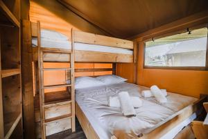 图赫尔斯克利普利采Glamping Tents in Tuhelj with thermal riviera tickets的一间卧室设有两张双层床和梯子