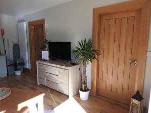 马拉莫尔Ard Na Mara, Mullaghmore, Sligo的一间客厅,客厅的橱柜里放着一棵棕榈树,配有电视