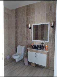 凯鲁万Henchir ejdoud的一间带卫生间、水槽和镜子的浴室