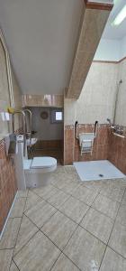 伊佐拉Depandansa Vista Parco, Izola的一间带卫生间和水槽的浴室