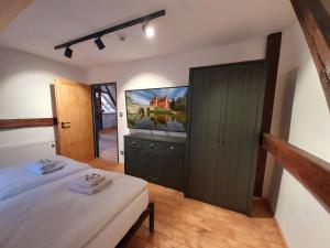 斯拉沃尼采Residence Stálkov Česká Kanada的一间卧室配有一张床和一台平面电视