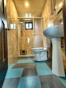 北竿蓝映海岸景观民宿 的一间带卫生间和水槽的浴室