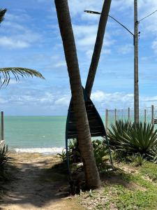 卡贝德卢Apto praia ponta de campina的海滩上棕榈树旁边的长凳