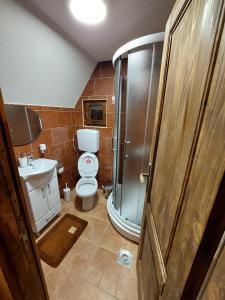 尼什Sicevacka Bajka的一间带卫生间和淋浴的小浴室