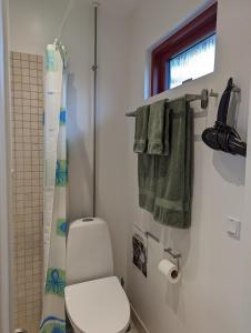阿尔贝特斯隆Compact Apartment Hvidager的一间带卫生间和淋浴的浴室