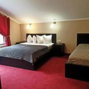 杜博瓦乡Pensiunea Decebal Resort - Cazanele Dunarii的酒店客房,配有床铺和红地毯