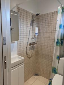 阿尔贝特斯隆Compact Apartment Hvidager的带淋浴、卫生间和盥洗盆的浴室