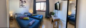 科拉雷侯Bedroom with shared bathroom and swimming pool的一间客厅,客厅内配有两张蓝色的沙发