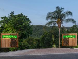 雾观哈斯美景小屋旅馆的两扇门在一条有棕榈树的道路上