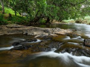 雾观哈斯美景小屋旅馆的一条河,河的两边有岩石和树木