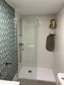 萨拉戈萨JUNTO AL PILAR的带淋浴的浴室和玻璃门