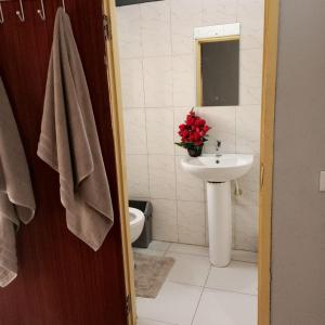 阿克拉Estepona Playa Hostel的一间带水槽和卫生间的浴室