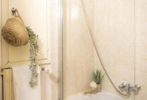 斯特拉斯堡La Robertsau, Lumineux, Paisible的带淋浴植物的浴室